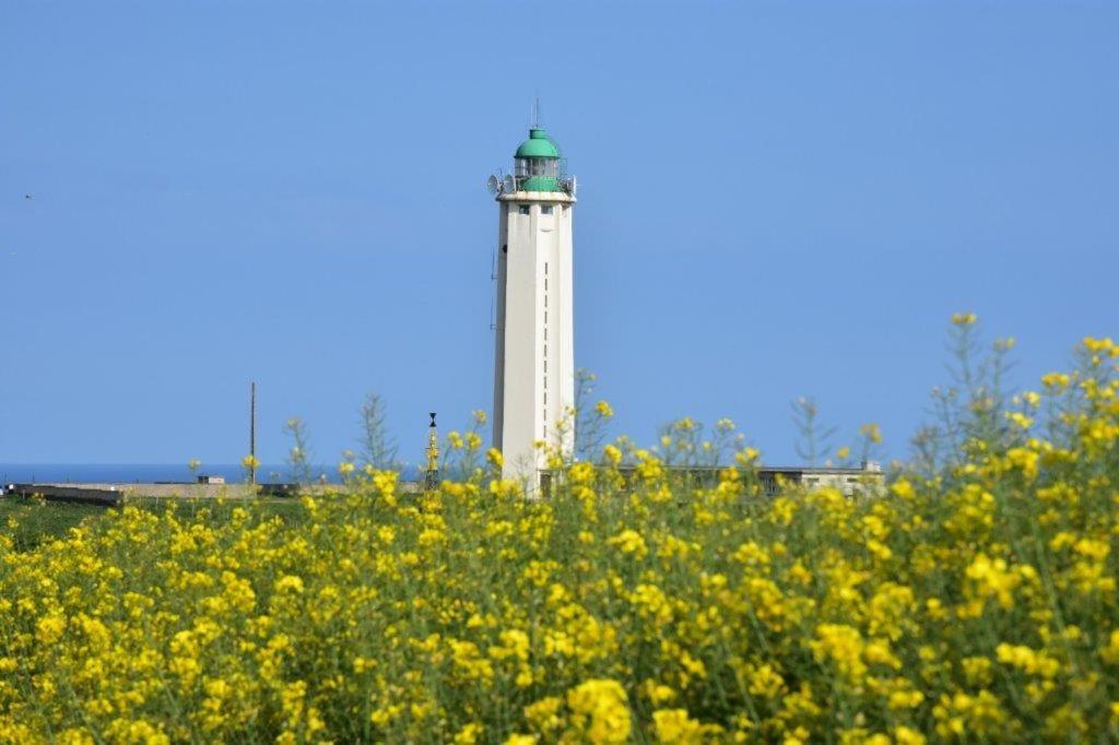 Bed and Breakfast Le Fief Beaurepaire 76280 Esterno foto