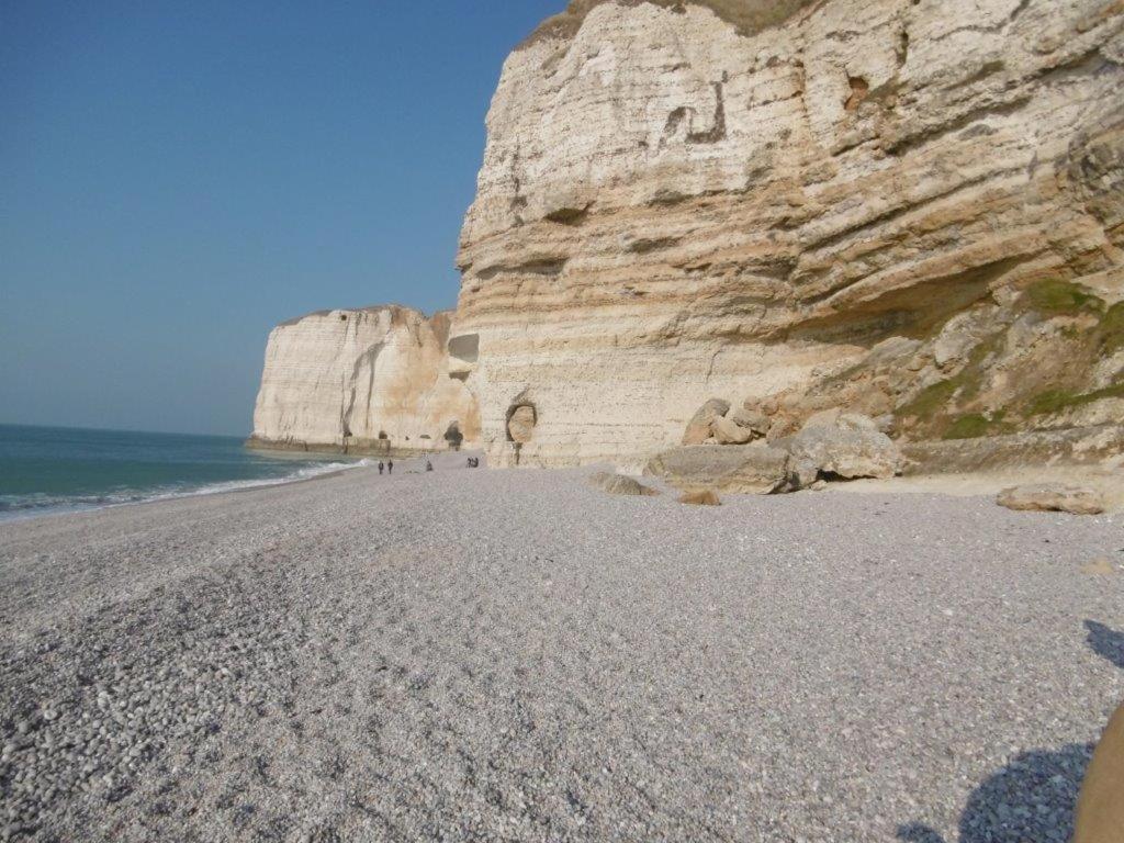 Bed and Breakfast Le Fief Beaurepaire 76280 Esterno foto